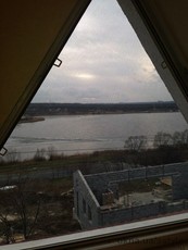 Рамная москитная сетка